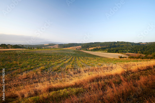 paesaggio