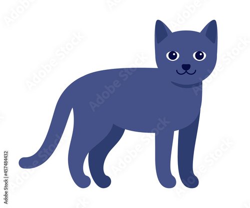 Happy dark blue gray cat  standing pet. House animal cat. Vector illustration