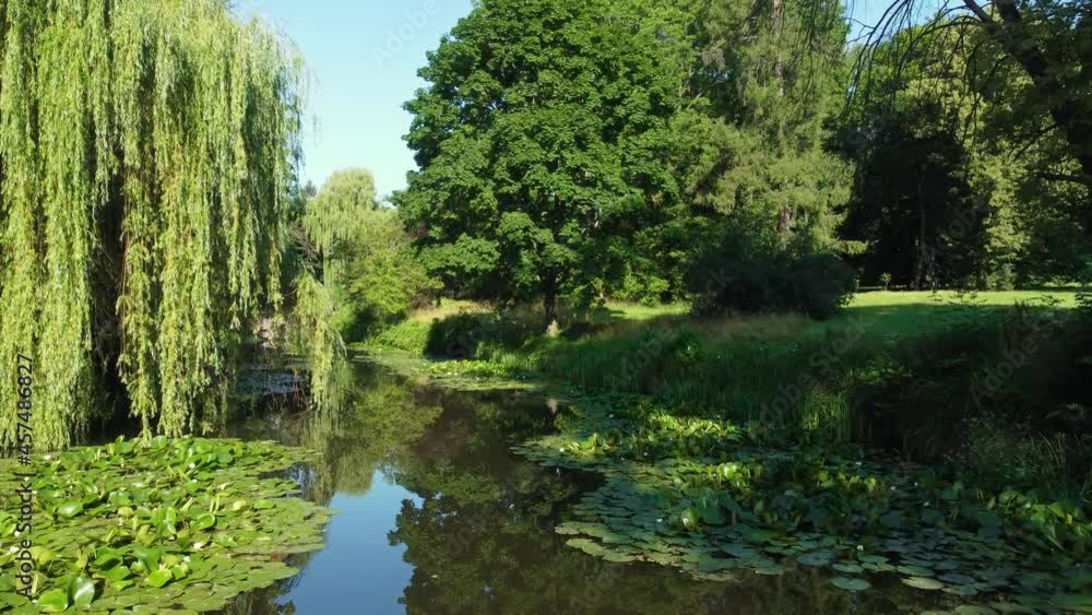 Narrow lake with water lilies and ducks in summer park Narrow lake with water lilies and ducks in summer park