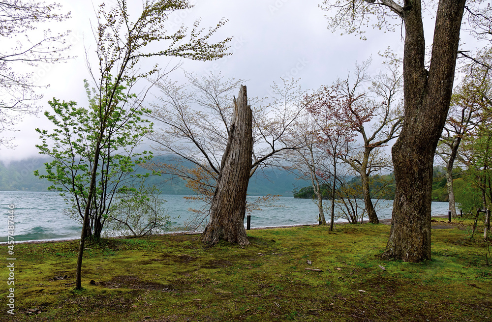 Lake Towada in Aomori, Japan