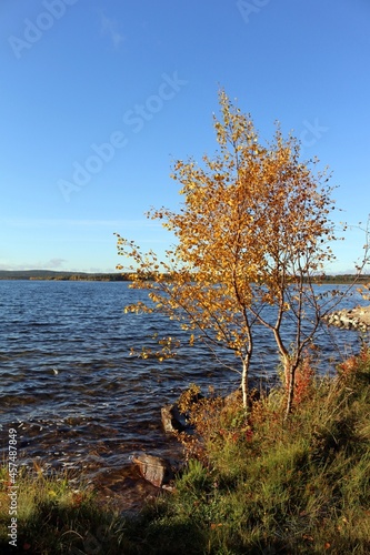 Autumn on the shore of the lake