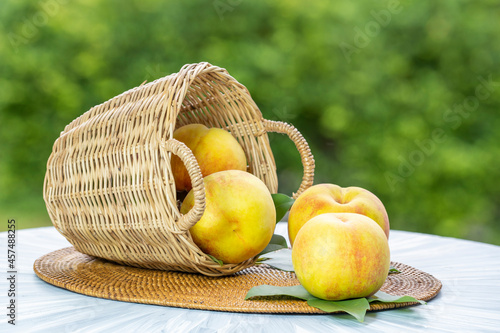 Yellow Peach on the old wooden table over blurred greenery background, Fresh Korean peach on wooden plate in wooden Background.
