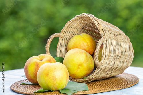 Yellow Peach on the old wooden table over blurred greenery background, Fresh Korean peach on wooden plate in wooden Background.
