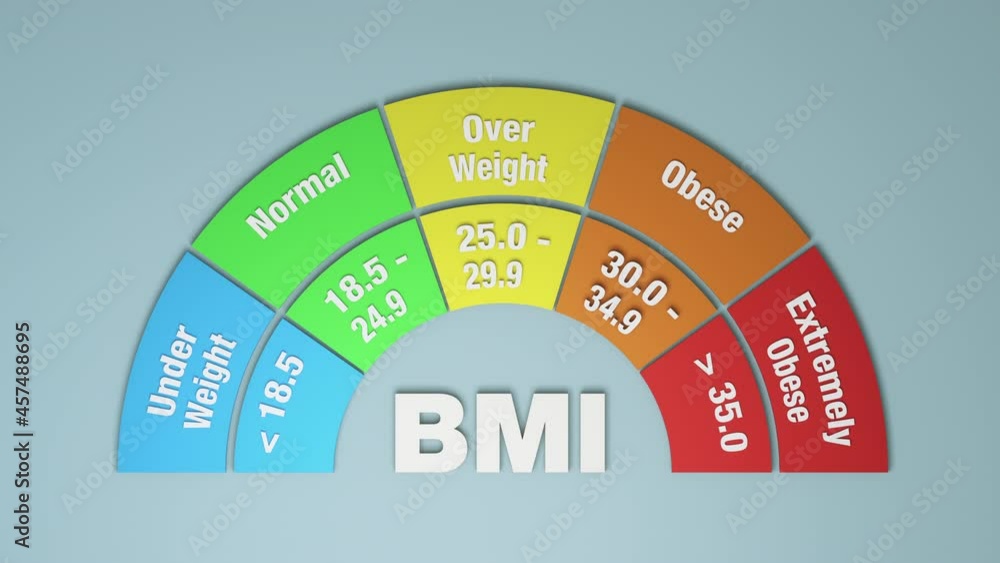 Body Mass Index Chart, build up of a 3d chart (3d render) Stock Video Adobe Stock