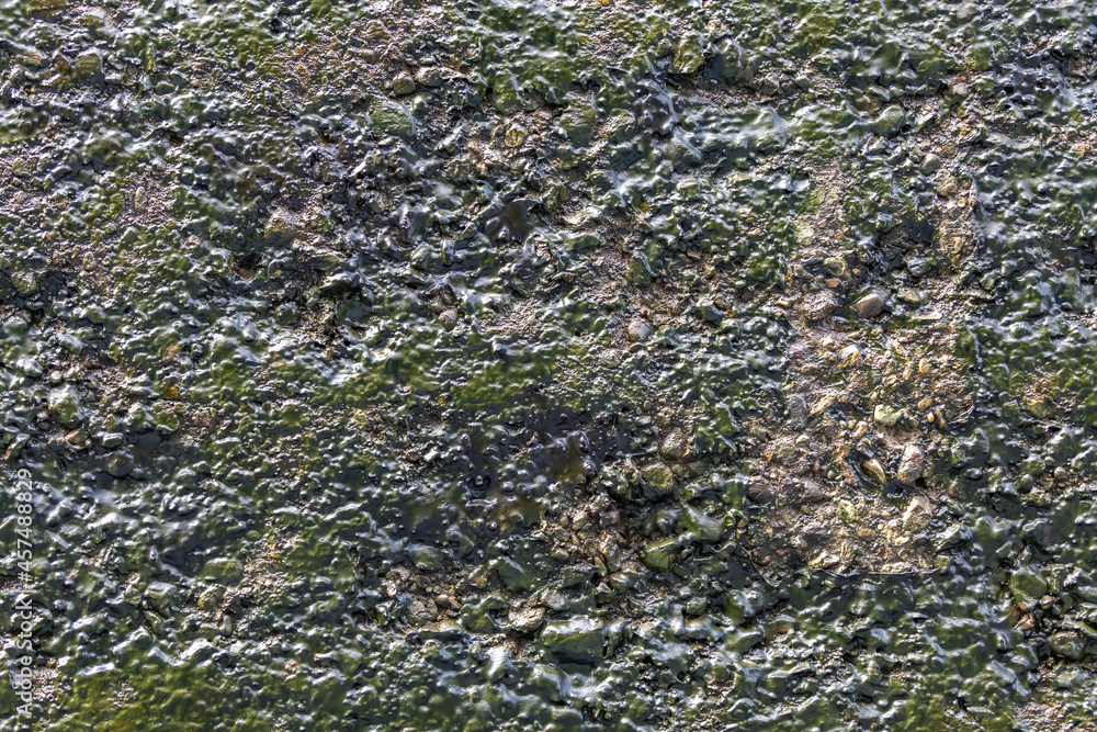 Textured surface of gray concrete wall with scratches and cracks Textured surface of gray concrete wall with scratches and cracks