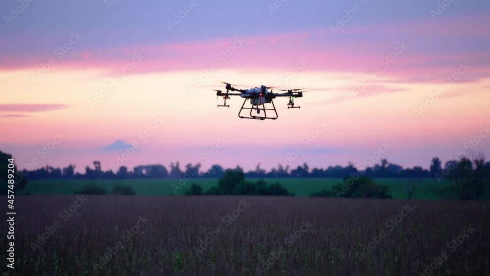 Agro copter works in the field, introduces 33p pesticides. Corn rye and wheat in the field. An agricultural drone aerial vehicle sprays a field at sunset. Agro copter works in the field, introduces 33p pesticides. Corn rye and wheat in the field. An agricultural drone aerial vehicle sprays a field at sunset.