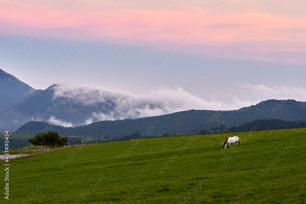 Fototapeta premium Sunset in a meadow with a white horse with the mountains in the background covered in mist