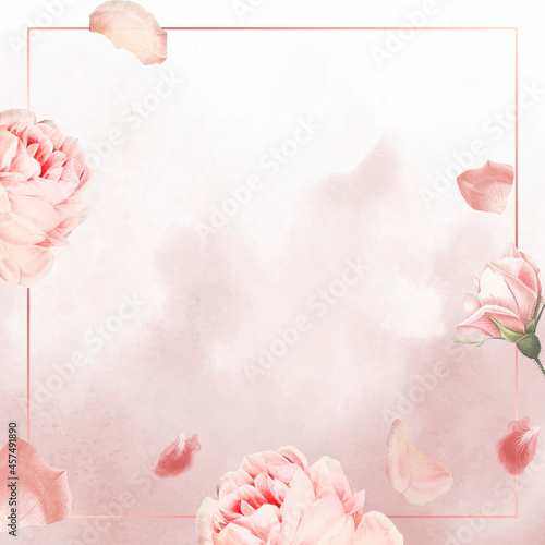 Rectangle pink rose frame vector