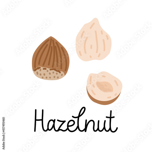 Flat hand-drawn illustration of a hazelnut, half of a nut and a hazelnut in a shell with monoline inscription. Colorful vector drawing isolated on white background. 