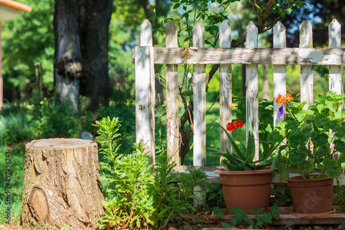 fence and flowers