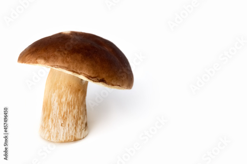 White mushroom on a white background. Edible mushrooms. Isolate. Soft focus. Photo