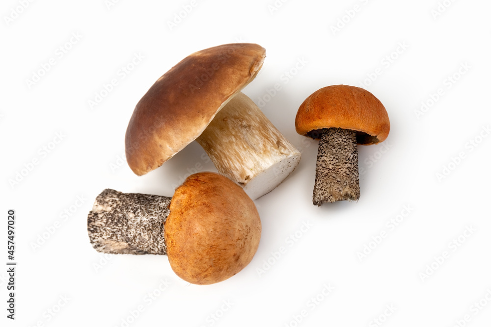 Mushrooms on a white background. Edible mushrooms. Isolate. Mushrooms for pickling. Flat lay. Photo Mushrooms on a white background. Edible mushrooms. Isolate. Mushrooms for pickling. Flat lay. Photo