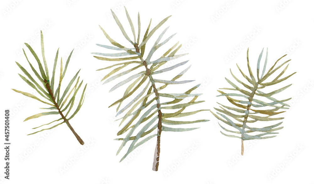Set of watercolor pine branches and berries isolated on a white background. Winter clipart. Set of watercolor pine branches and berries isolated on a white background. Winter clipart.
