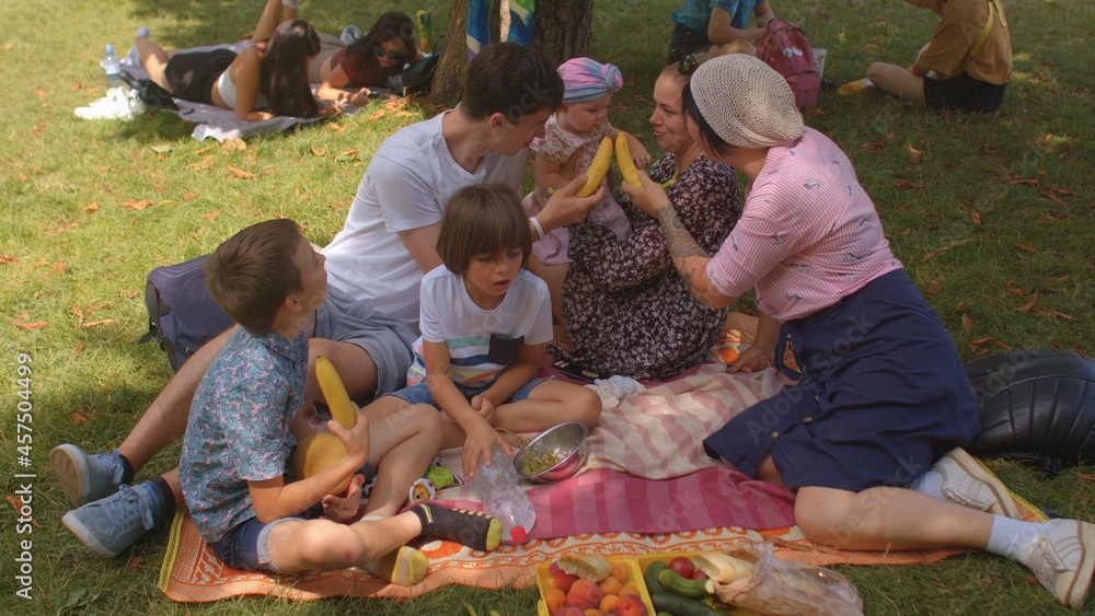 Fototapeta premium Big family having fun on a picnic in the city park. They interact with a friend. The joy of the survey, the transmission of positive at the meeting.