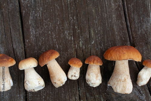 Boletus Edulis mushroom on old wooden surface