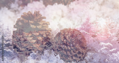Image of two pine cones in snow over winter scenery