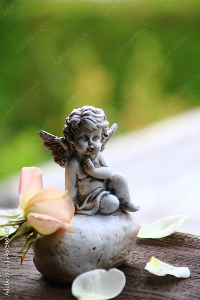 Obraz premium engel und rose