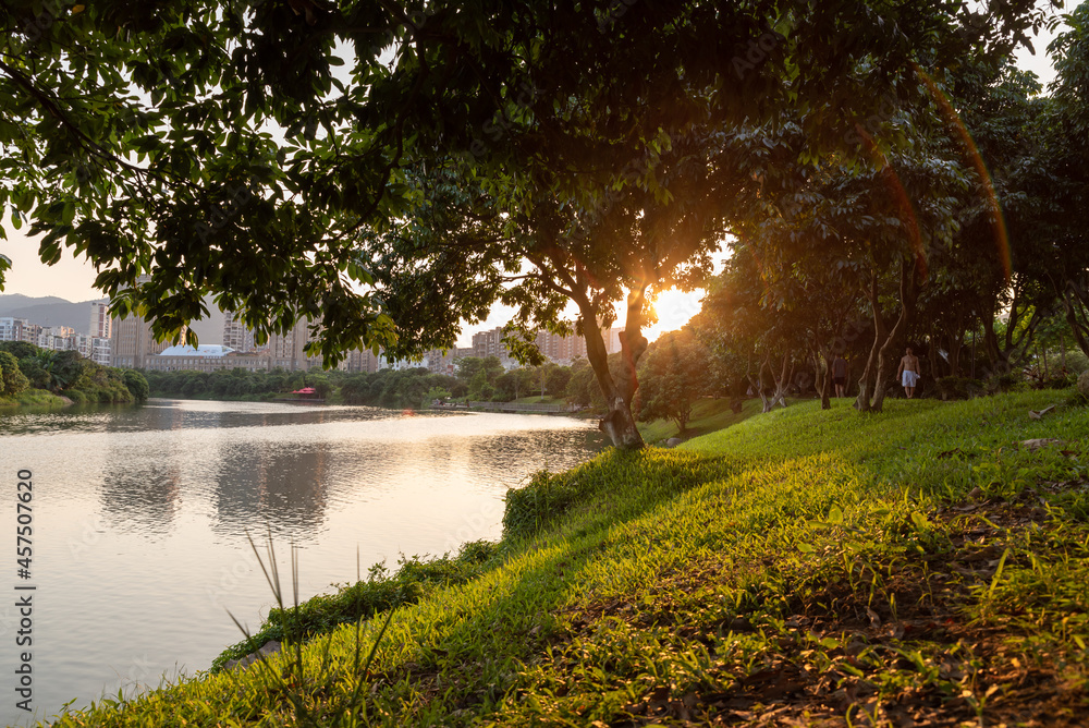 Trees and rivers in the park at sunset Trees and rivers in the park at sunset