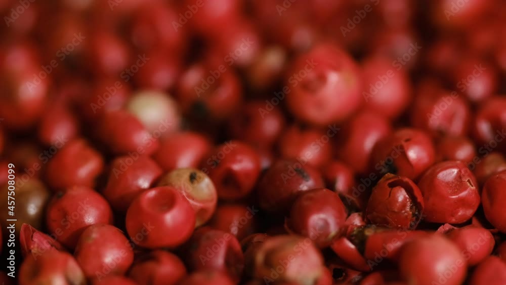 Food spices pink peppercorns red pepper Himalayan pepper berries. Concept of fresh and dietary spices for cooking schools vegans and dietary products. Rotation Food spices pink peppercorns red pepper Himalayan pepper berries. Concept of fresh and dietary spices for cooking schools vegans and dietary products. Rotation