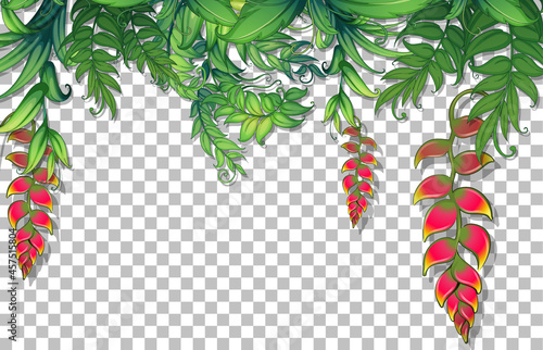 Various tropical leaves on transparent background