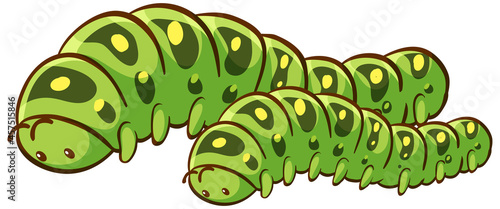Big and small caterpillars animal cartoon on white background