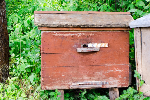 Old wooden brown beehive. Ecological apiary in the forest and in nature. Home for bees. Dead insects. Natural healthy honey. Beekeeping. Life in the village. Farmery. Unique professions and jobs.  photo