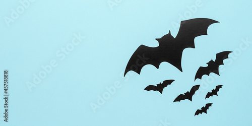 Flat lay black bats on pastel blue background. Halloween. Top view, banner.