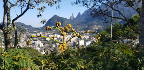Views from Dedo de Deus, God's finger in Teresópolis RJ
