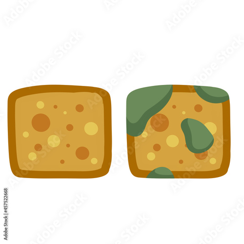 Bread with mold. Incorrect storage of the product. Fungus and rot. Sliced loaf for a sandwich. Flat illustration