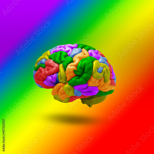  A multicolored brain on a rinbow background with shadow photo
