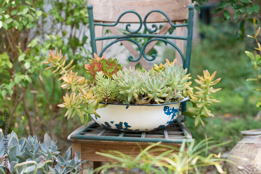Reused garden design ideas. Old basin turn into garden flower pots. Recycled garden design, diy and low-waste lifestyle. Reused garden design ideas. Old basin turn into garden flower pots. Recycled garden design, diy and low-waste lifestyle.