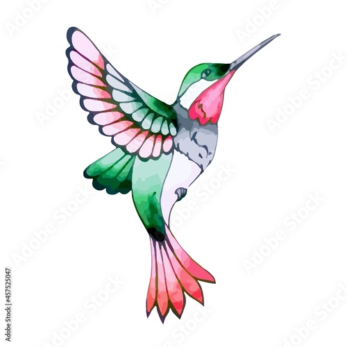 Colorful hummingbird in flight with bright feathers. Flying exotic hummingbird for spring and summer design. Small tropical bird in watercolor style. Natural decoration. Vector isolated illustration