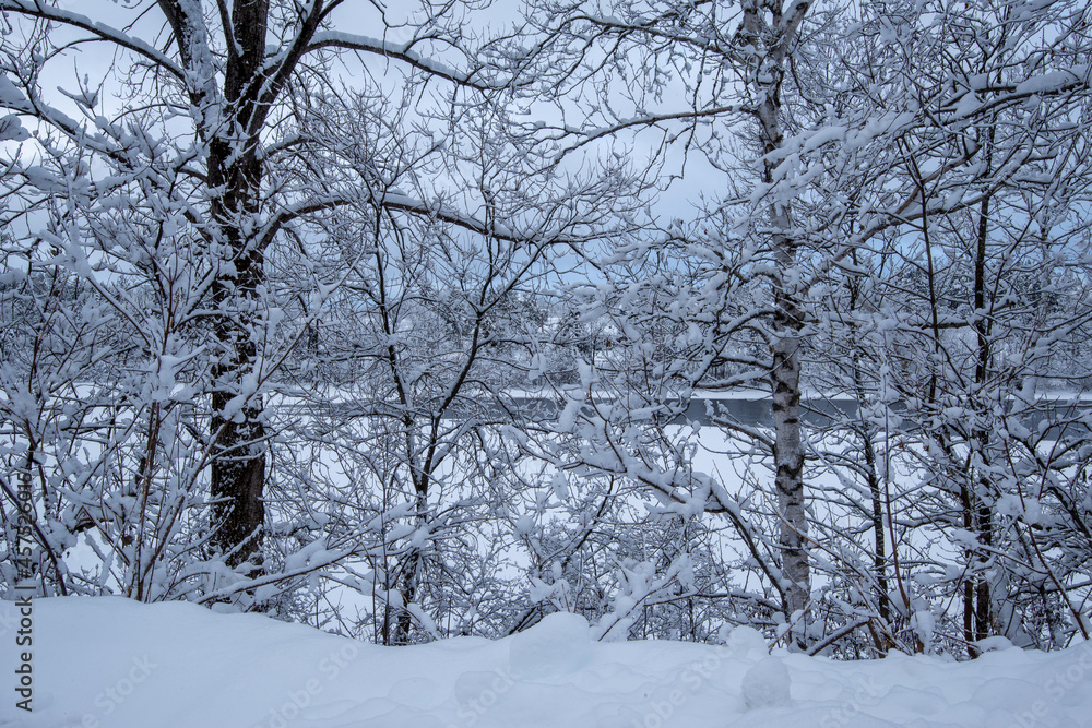 superb winter landscapes in Val-David -6 superb winter landscapes in Val-David -6