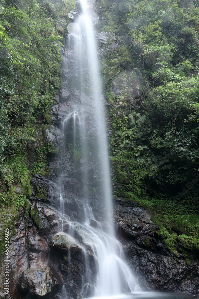 Fototapeta premium 大樽の滝 高知県の名瀑 夏 (越知町)