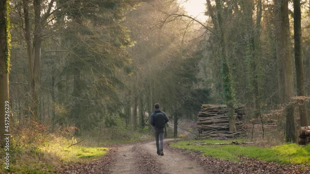 One man hiking in beautiful woods on misty, magical spring sunrise. Wide shot walking away from camera One man hiking in beautiful woods on misty, magical spring sunrise. Wide shot walking away from camera