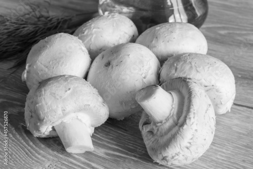 The fresh champignon mushrooms ready for cooking. A top view closeup of fresh mushrooms. Black and white photo.