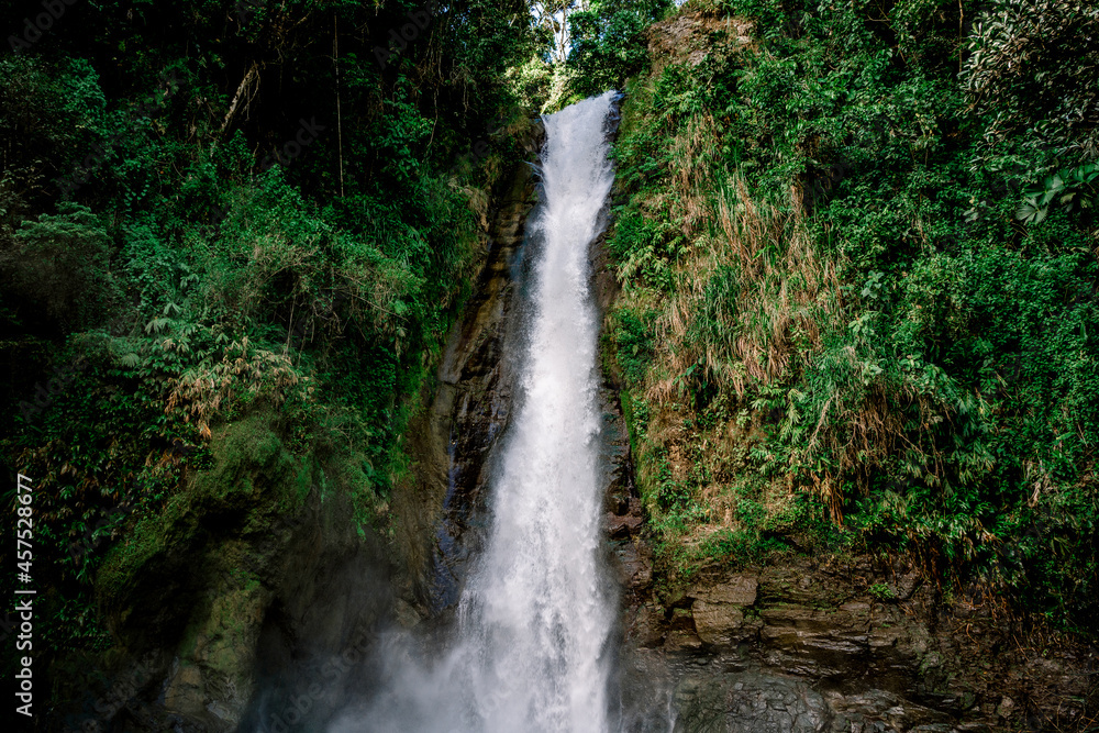 Water falling form a cascade in the middle of the jungle with green plants