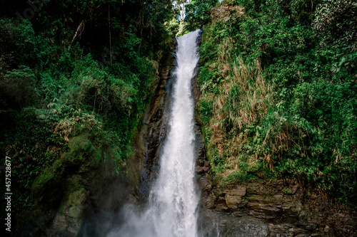 Water falling form a cascade in the middle of the jungle with green plants