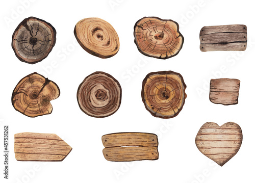 Wood texture. wooden slices. Watercolor Set.