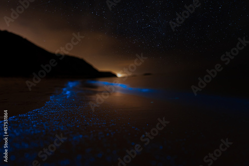 Bioluminescence Denmark