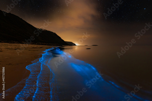 Bioluminescence Denmark