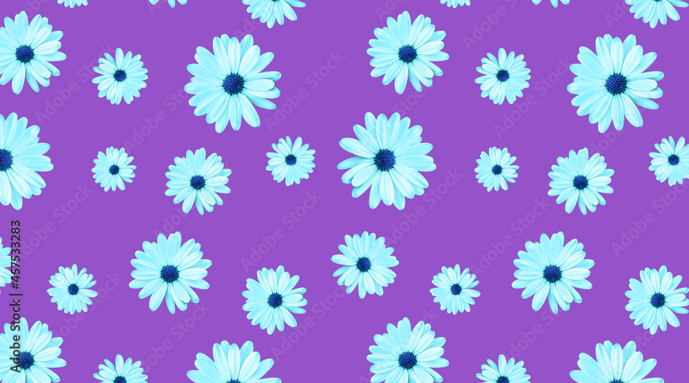 Seamless pattern of chamomiles with a blue center on a purple background Seamless pattern of chamomiles with a blue center on a purple background
