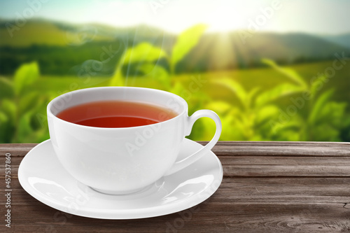 Cup of hot freshly brewed rooibos tea on wooden table outdoors