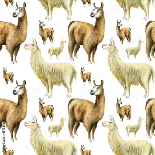 Seamless pattern: llamas on white background. Watercolor hand drawn illustration. Perfect for wallpapers, scrapbooking and prints.