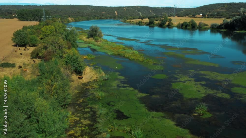 Spanish river leading to delta in countryside, drone shot Spanish river leading to delta in countryside, drone shot