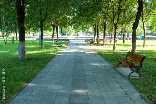 The sun shines on the trees and lawns of the city park