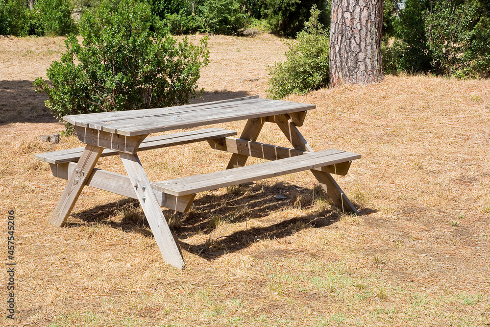 Wooden empty picnic table on a public park with trees in summer Wooden empty picnic table on a public park with trees in summer