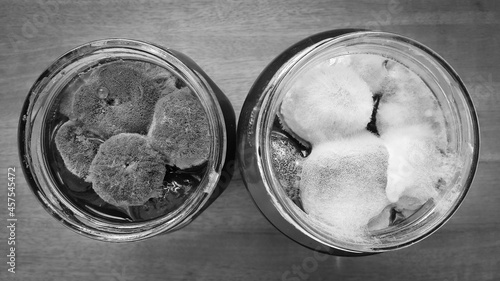 Fotografija Mold on fig jam in a jar top view