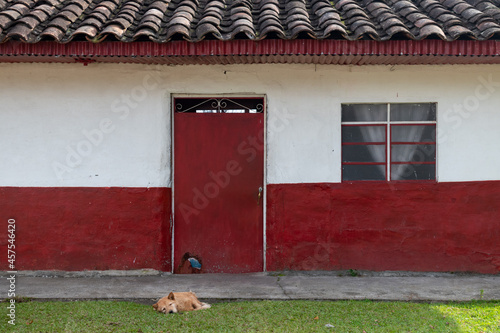 Coffee Region in Colombia