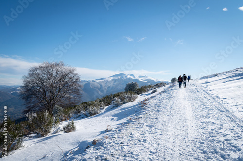 French Pyrenees
